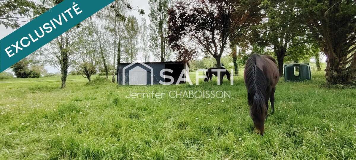 Photo 9 - Maison à CHATELLERAULT