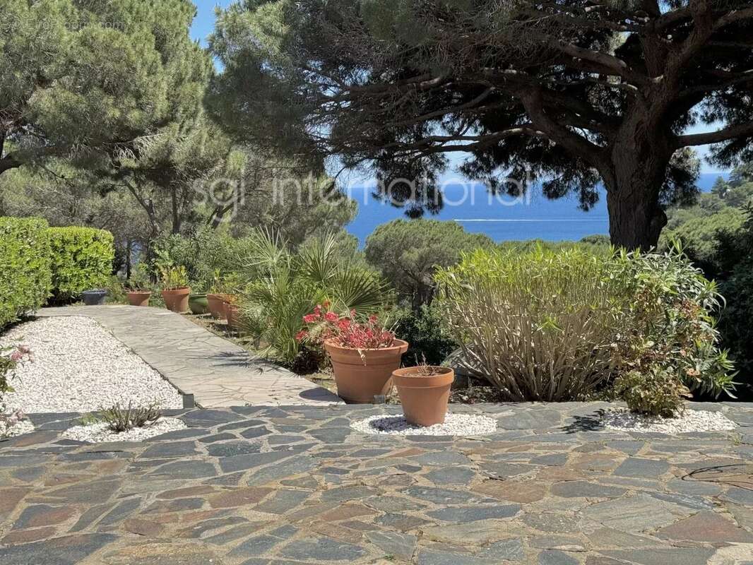 Maison à RAMATUELLE