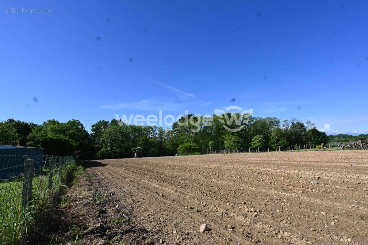 Terrain à PONLAT-TAILLEBOURG