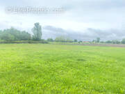 Terrain à BAGE-LA-VILLE