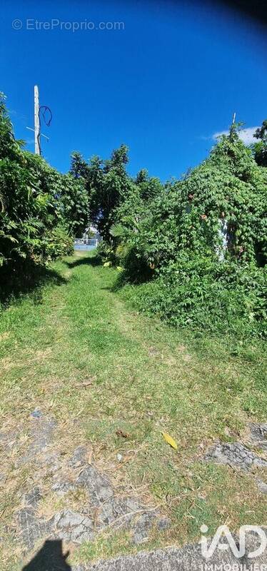 Photo 1 - Terrain à LE TAMPON