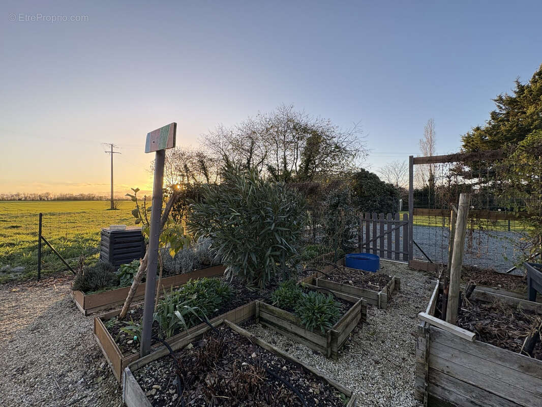 Maison à SAINT-SAUVEUR-D'AUNIS