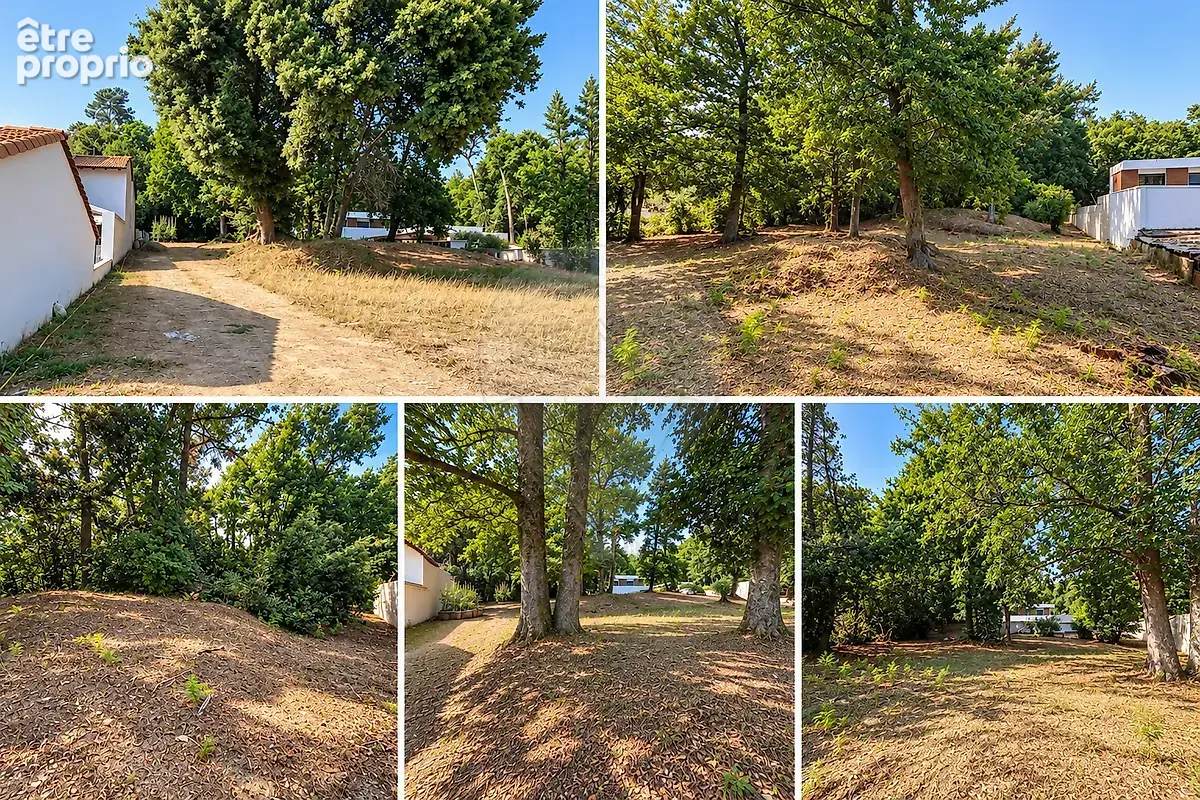 Terrain  à vendre - photo 2