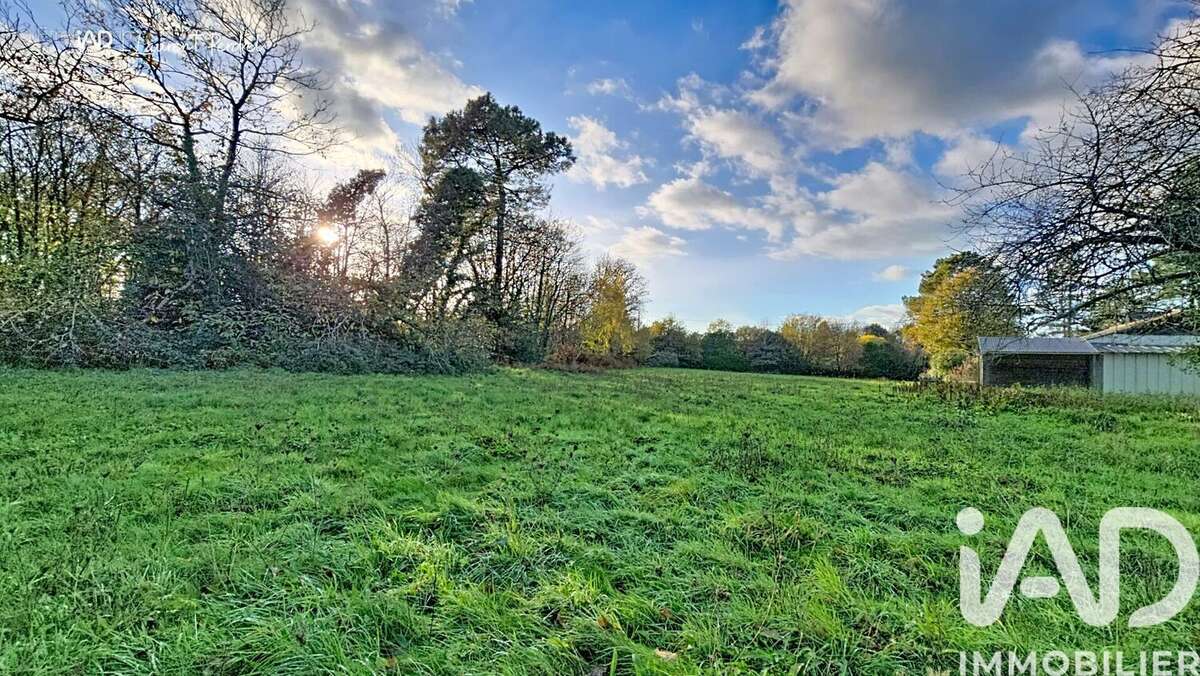 Photo 4 - Terrain à ALLAIRE