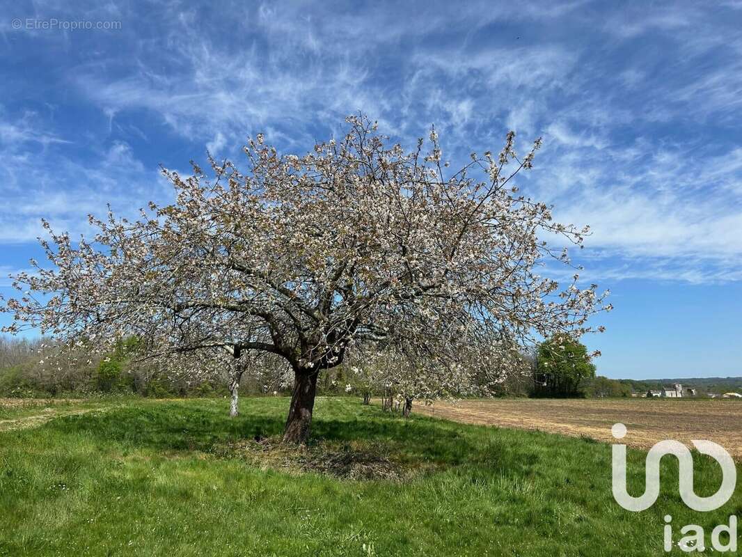 Photo 4 - Maison à SAINT-PALAIS-DE-NEGRIGNAC