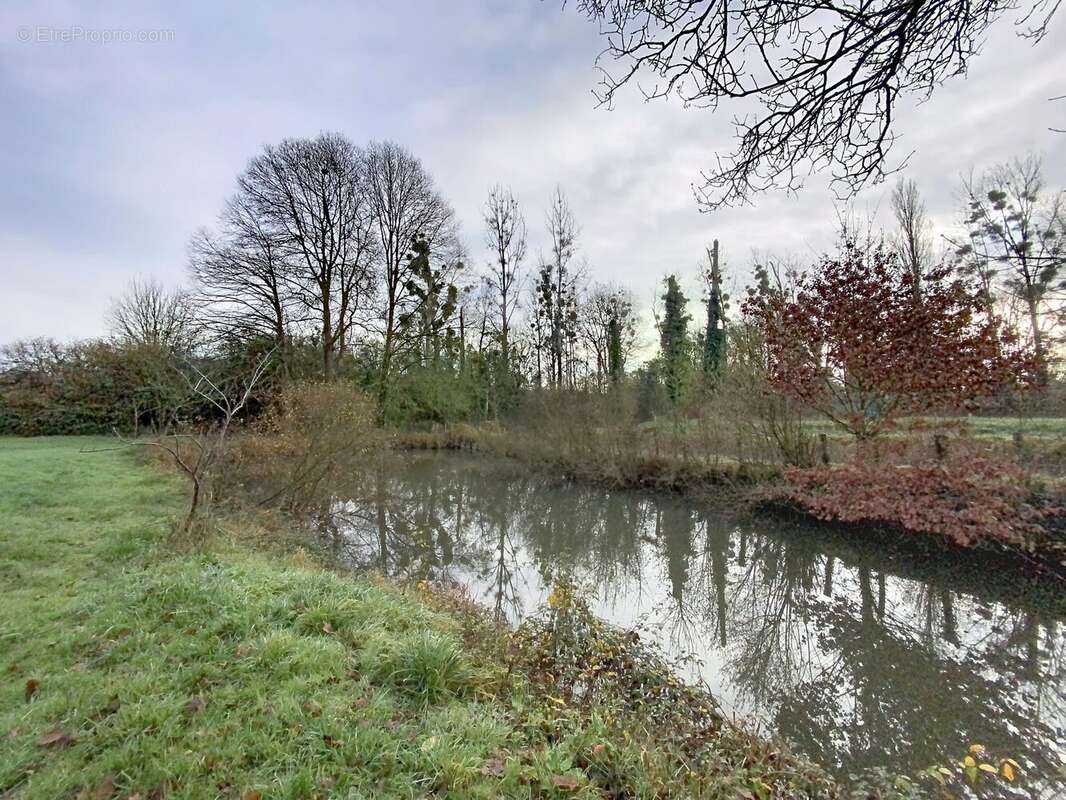 Terrain à AVRILLE-LES-PONCEAUX