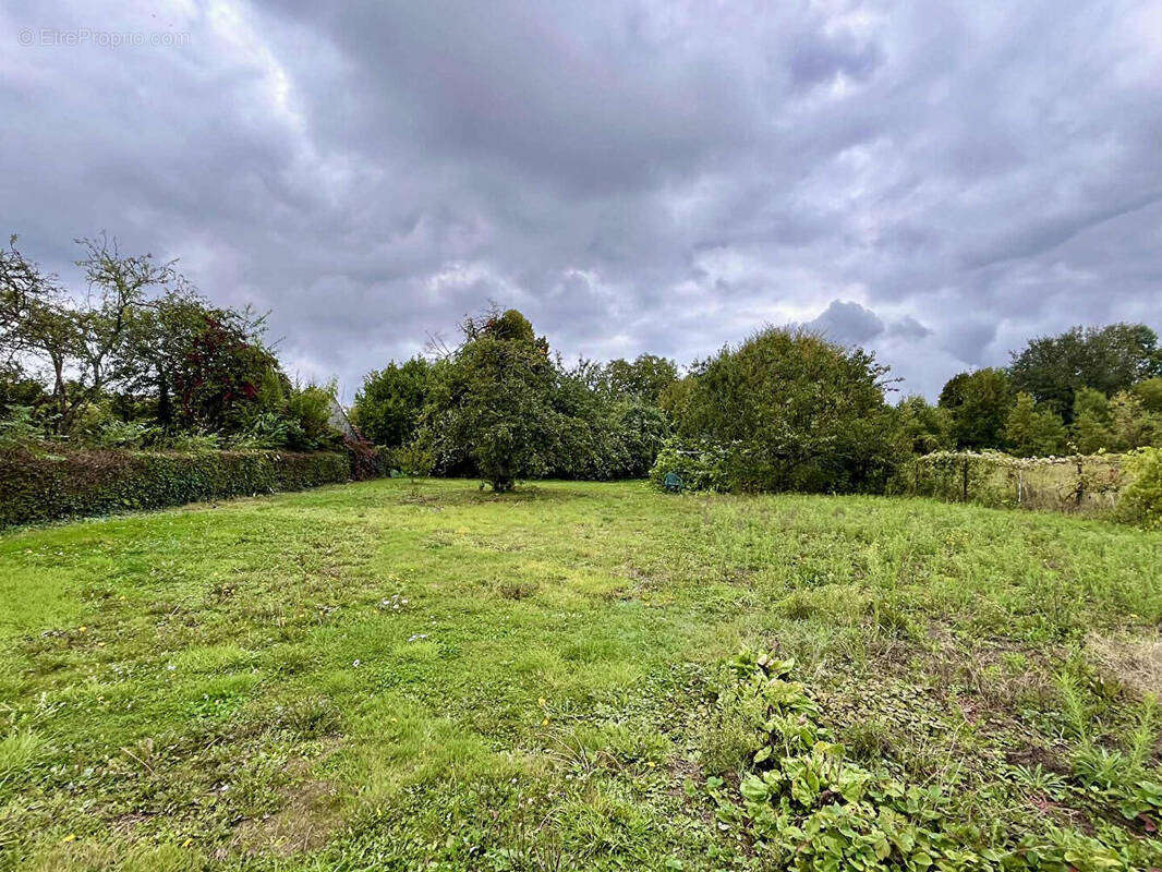 Terrain à VILLERS-COTTERETS