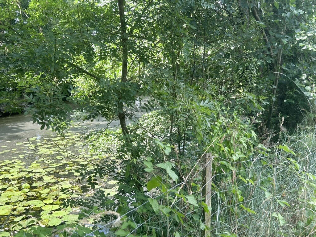 Terrain à BARBECHAT