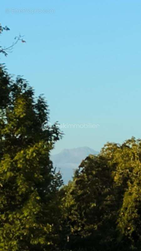 Terrain à bâtir – Environ 5 300 m² – Vue Pyrénées - photo 3