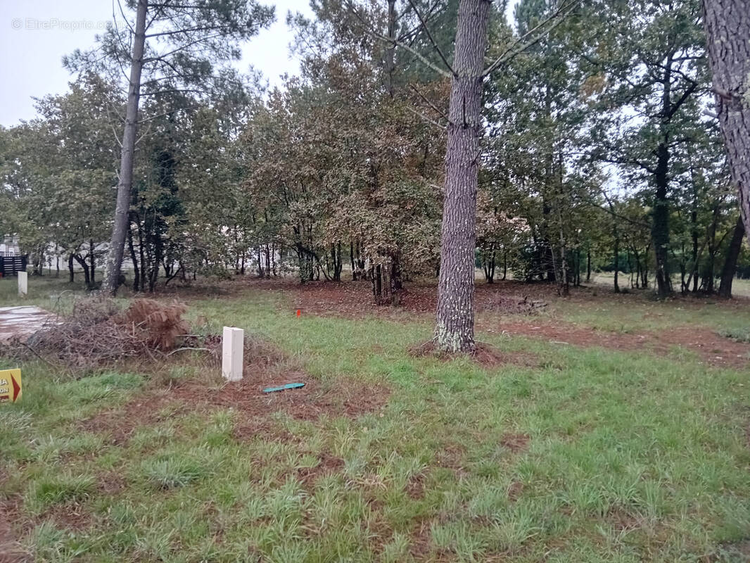 Terrain à GUJAN-MESTRAS