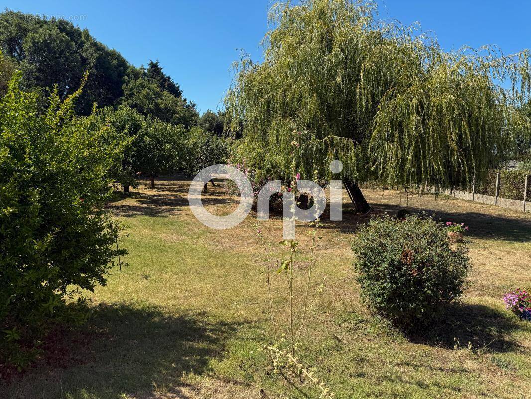 Terrain à SAINT-LAURENT-DE-LA-PREE