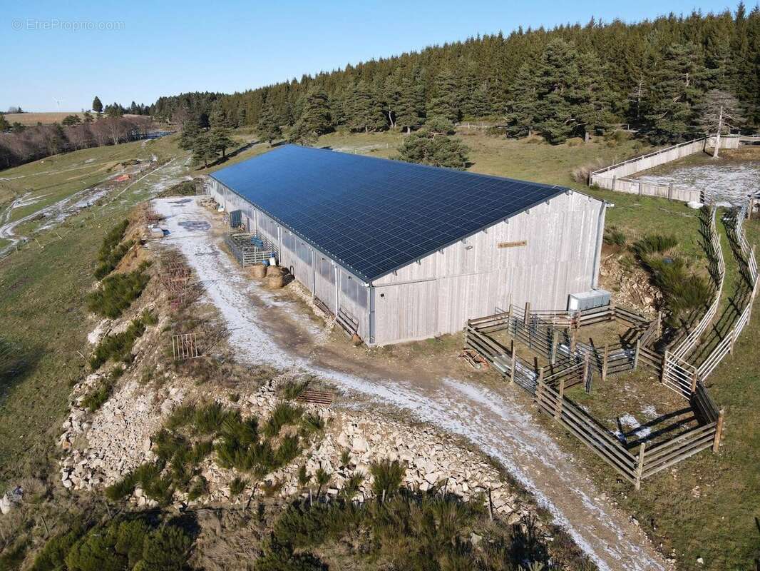 Maison 400 m² à Mazan-L'abbaye  - photo 3