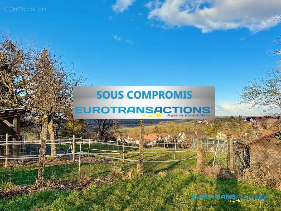 Terrain à DAUENDORF