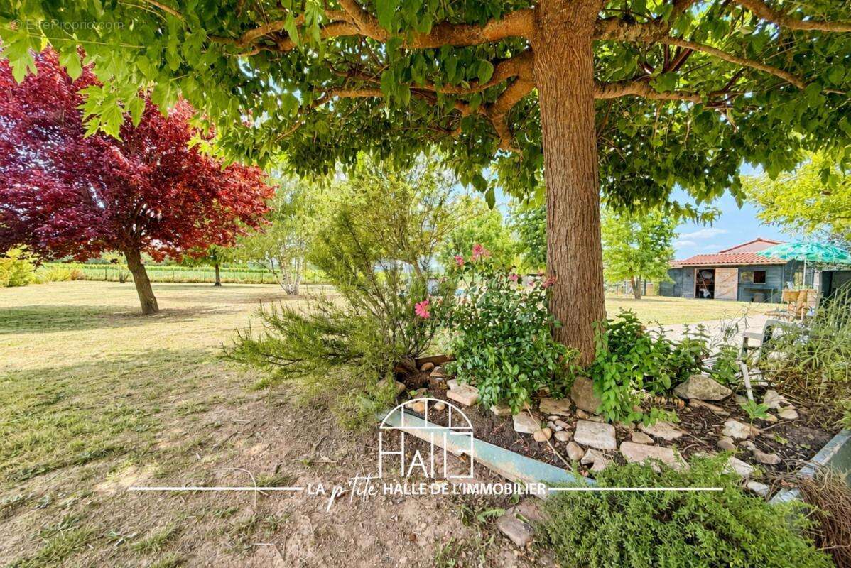 Maison 267 m² à Pescadoires  - photo 4