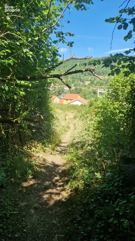 Terrain de loisir de 6 835 m2 à ars-sur-moselle - photo 3