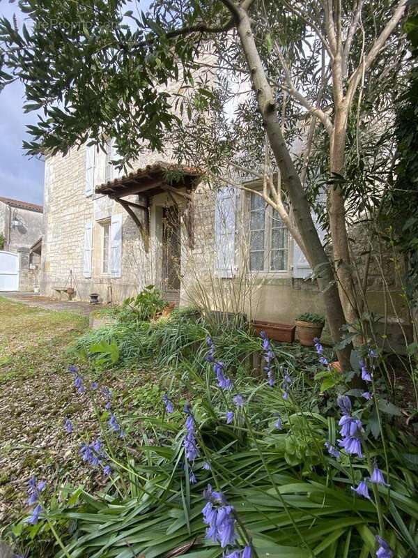Maison à SAINT-MEME-LES-CARRIERES