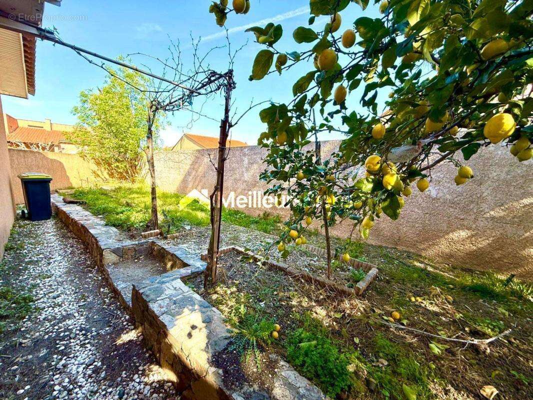 Maison à ESPIRA-DE-L'AGLY