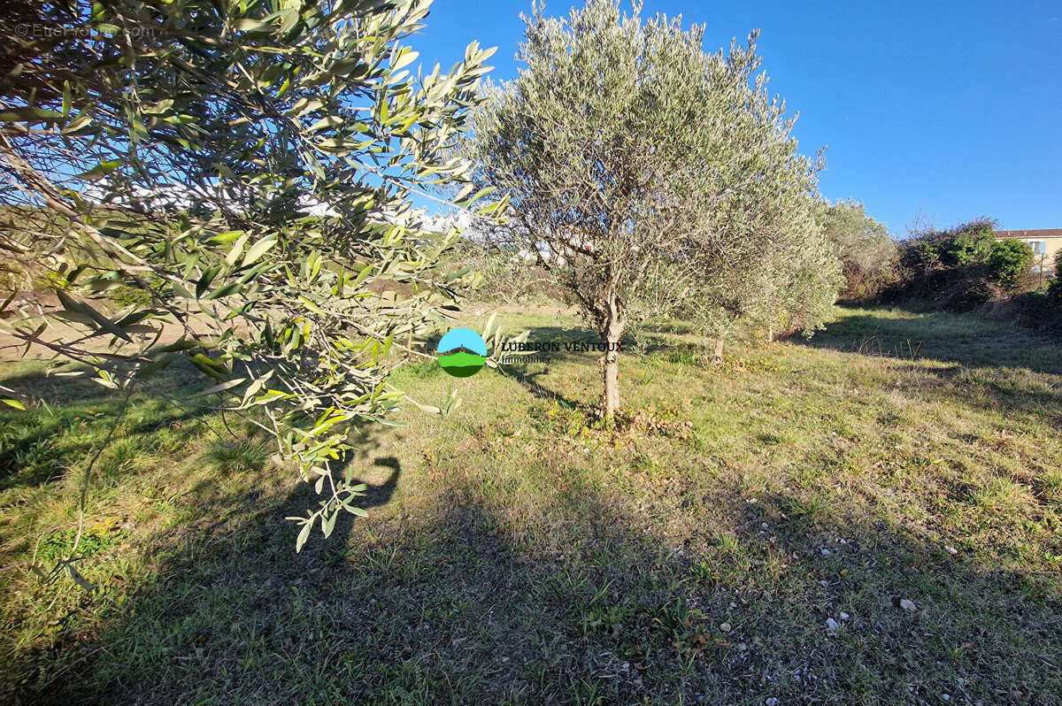 Terrain à CAROMB