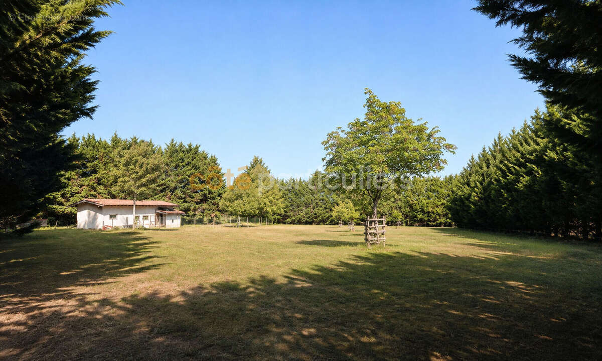 Maison d'architecte  de 250m2 à Ambres - photo 15
