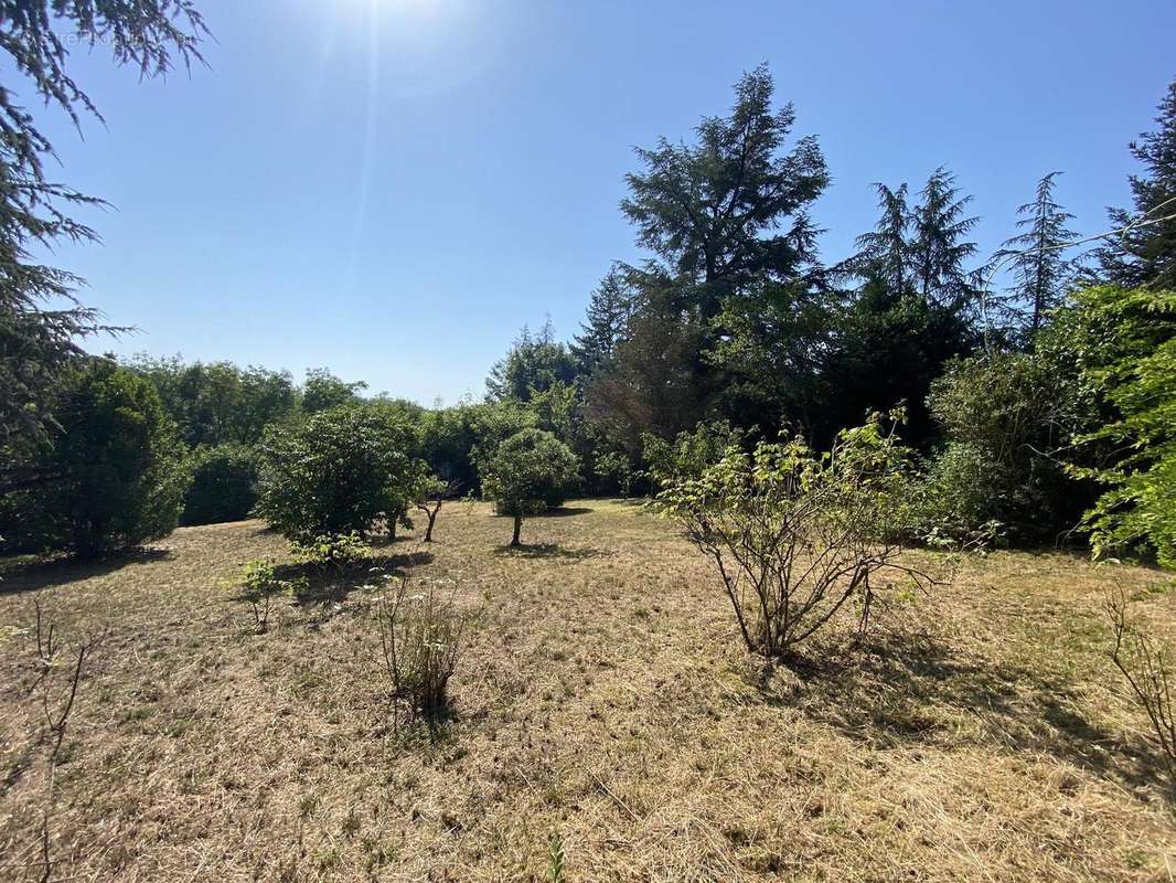 Photo 7 - Terrain à CHARBONNIERES-LES-BAINS