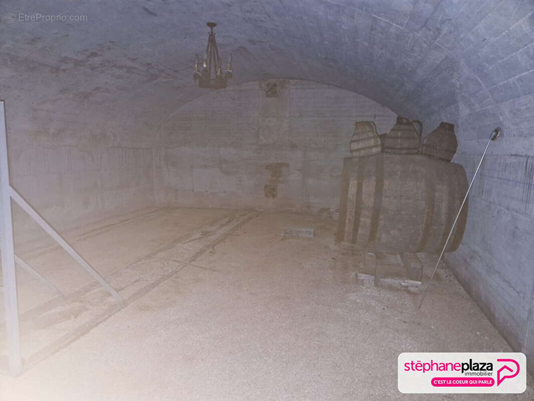 Cuvage et parcelles à Fleurie + 5 ha - photo 9