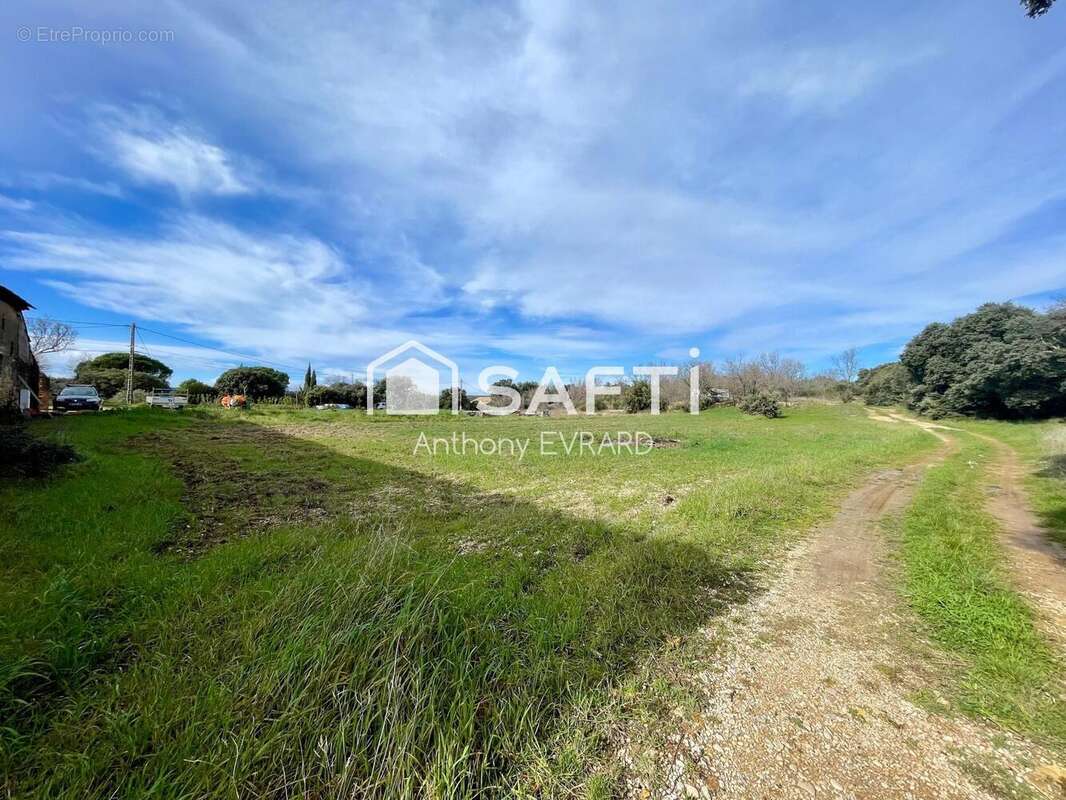 Photo 3 - Maison à SERIGNAN-DU-COMTAT