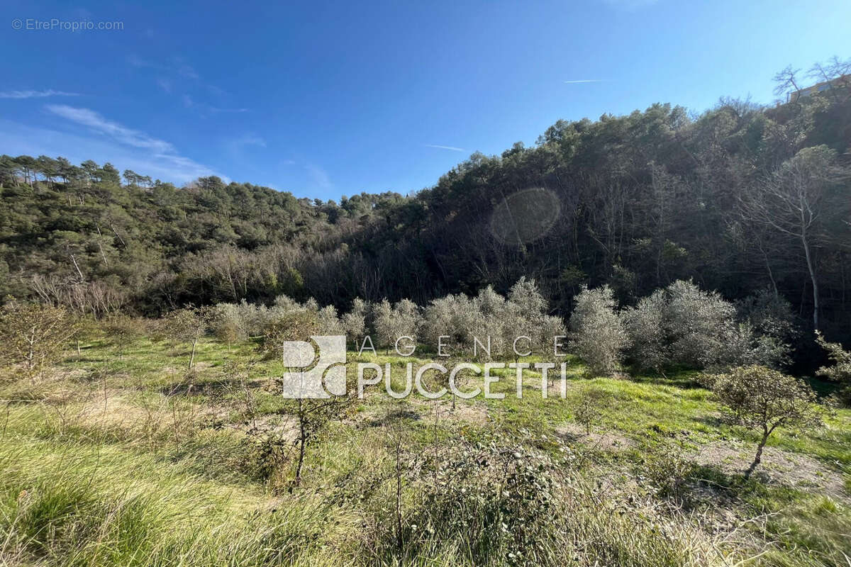 Terrain à VENCE