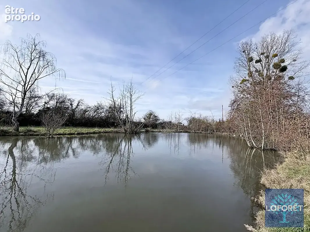 Etang Villereau 12496 m2 - photo 2