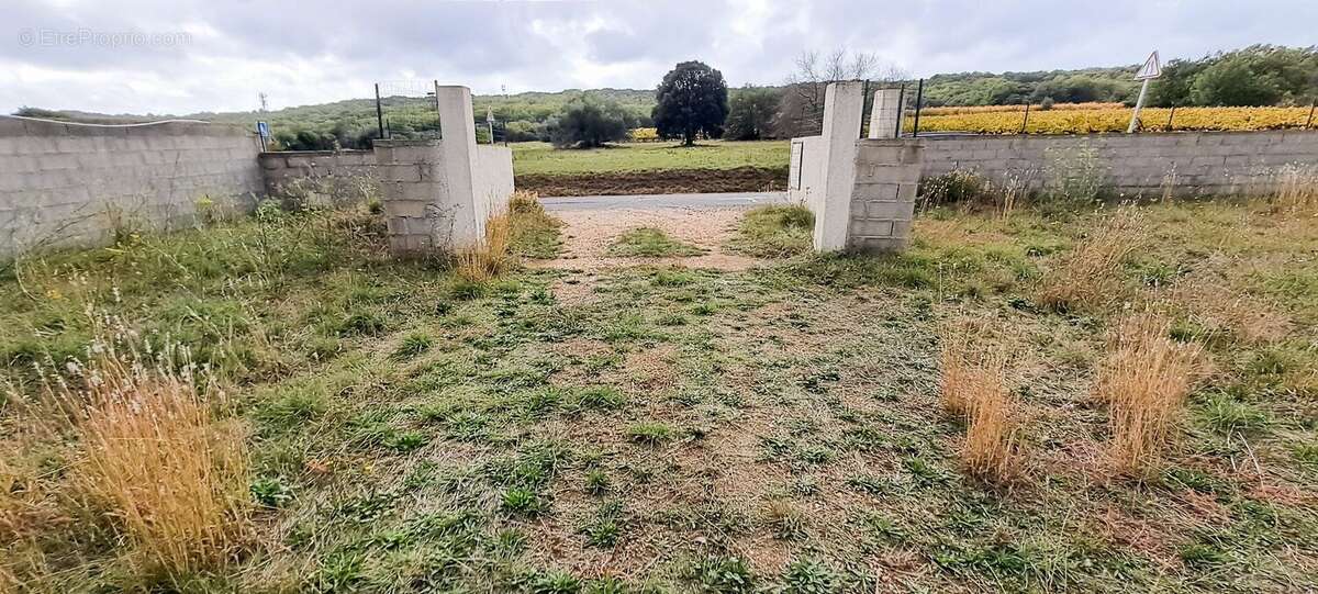 Photo 3 - Terrain à LEZIGNAN-LA-CEBE