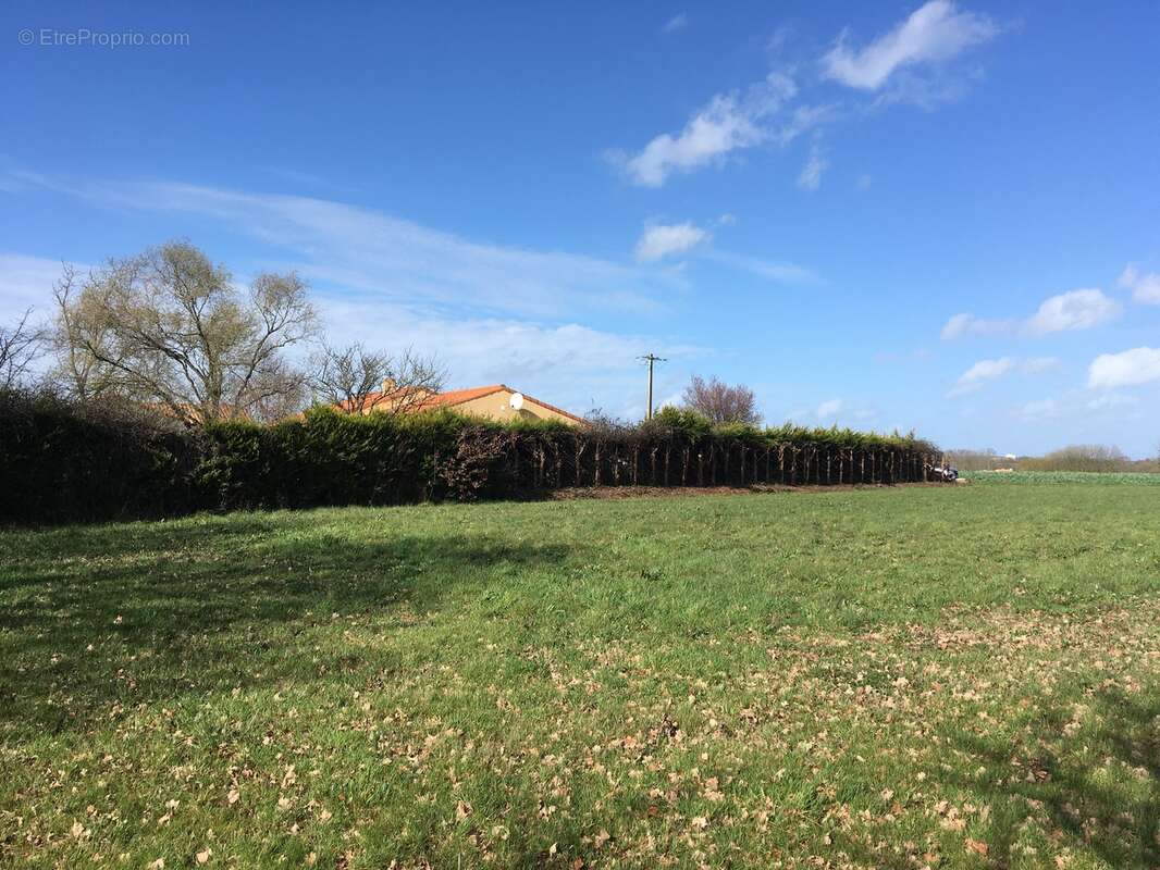 Terrain à LES BROUZILS
