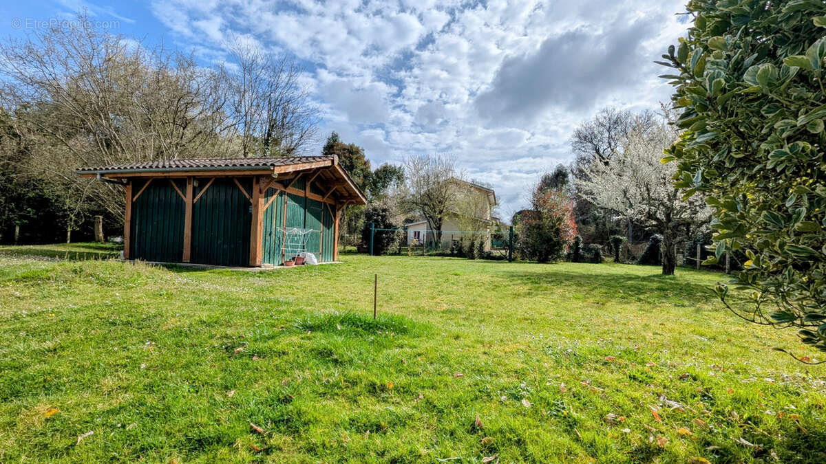 Terrain à QUINSAC