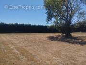 Terrain à LABARTHE-SUR-LEZE