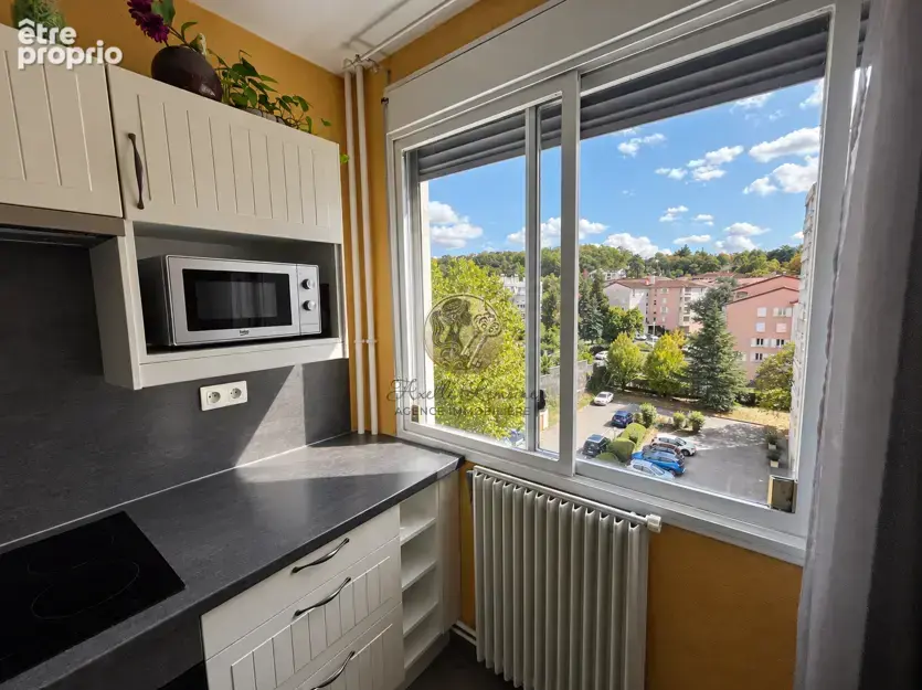 TASSIN-LA-DEMI-LUNE   95 m2   3 chambres   Balcon   Vue panoramique sur les Monts du Lyonnais - photo 7