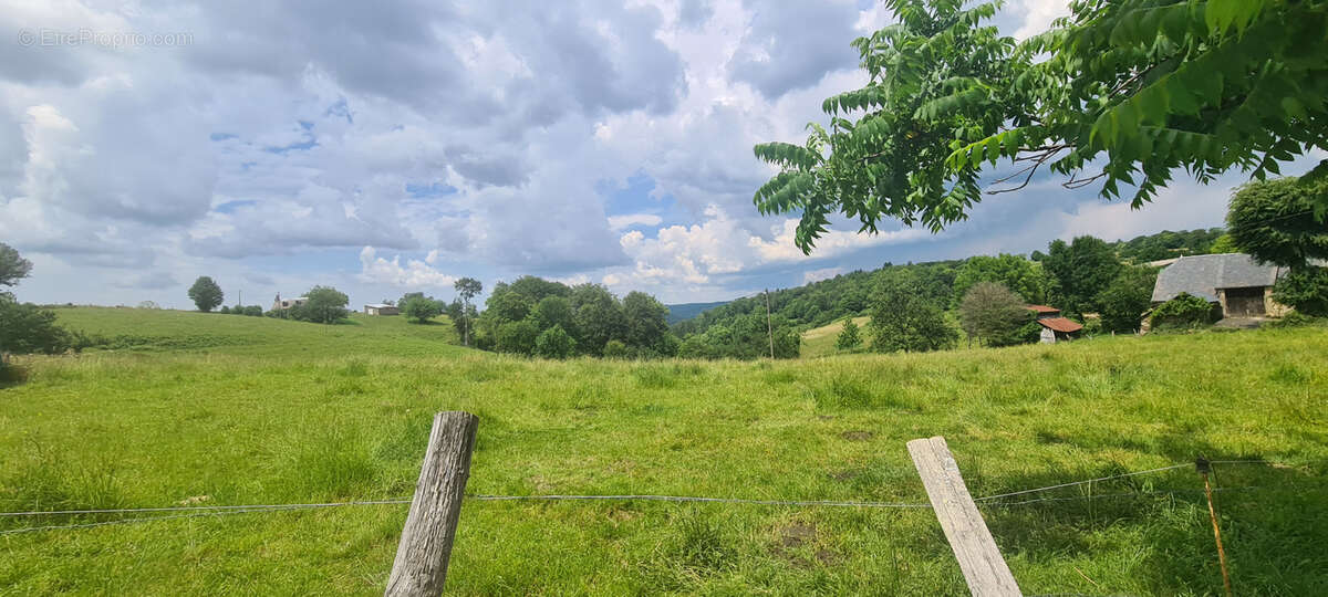 Terrain à SAINT-MARTIN-LA-MEANNE