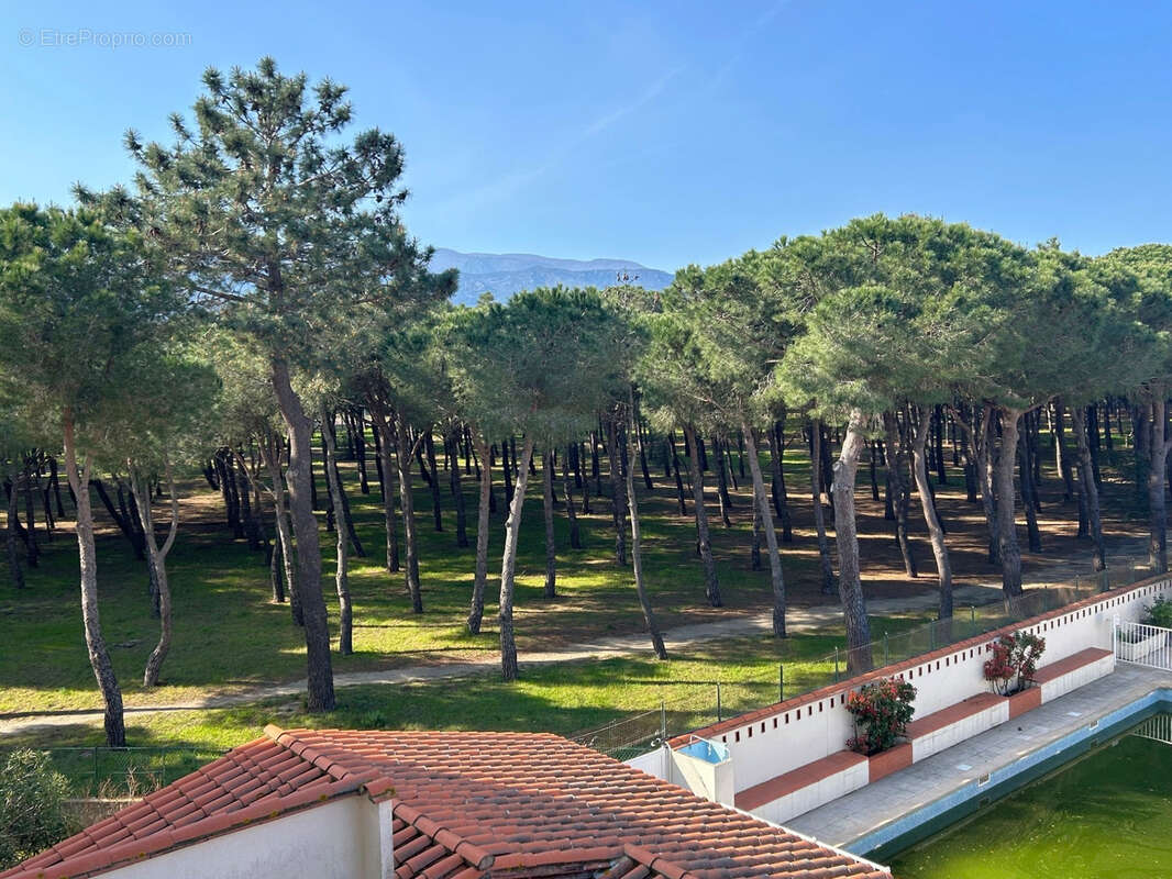 Appartement à ARGELES-SUR-MER