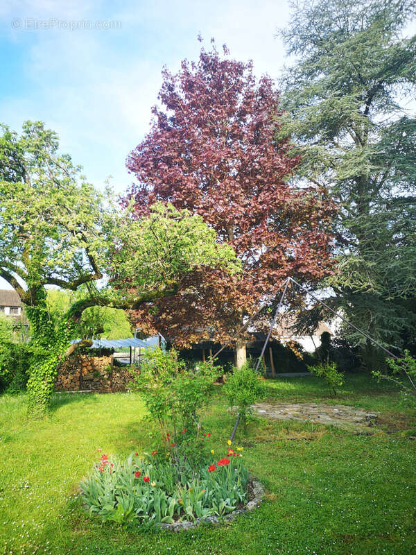 Maison à LA FERTE-ALAIS