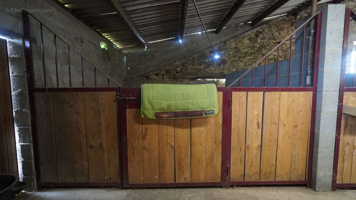 Terrain à SAINT-FLORENT-DES-BOIS