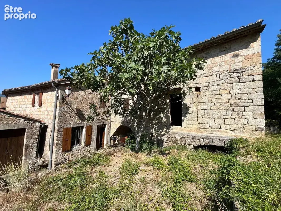 Maison en pierres et jardinet - photo 3