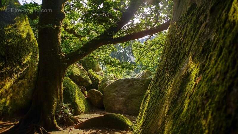 Maison à LA FEUILLEE
