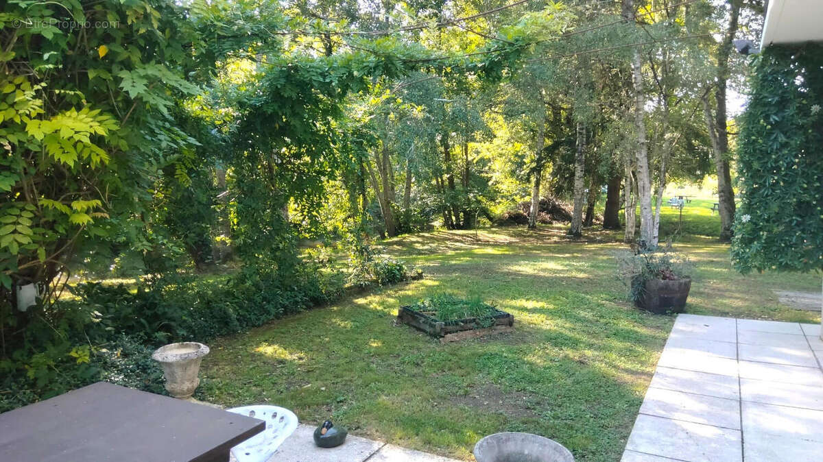 30 SEPT - JARDIN - Maison à ALLOUE