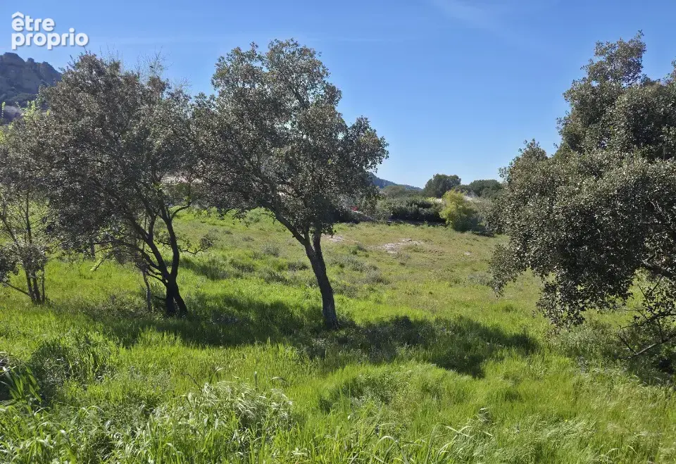 Terrain à ROQUEBRUNE-SUR-ARGENS
