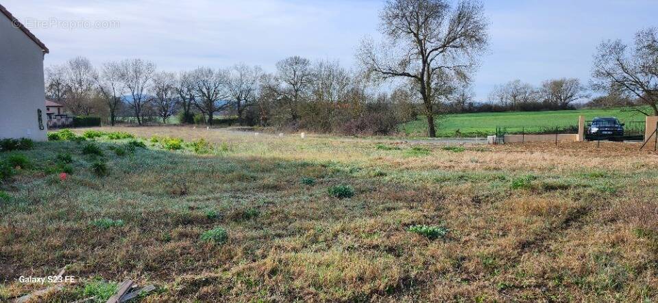 Terrain à CASTELNAU-DE-LEVIS
