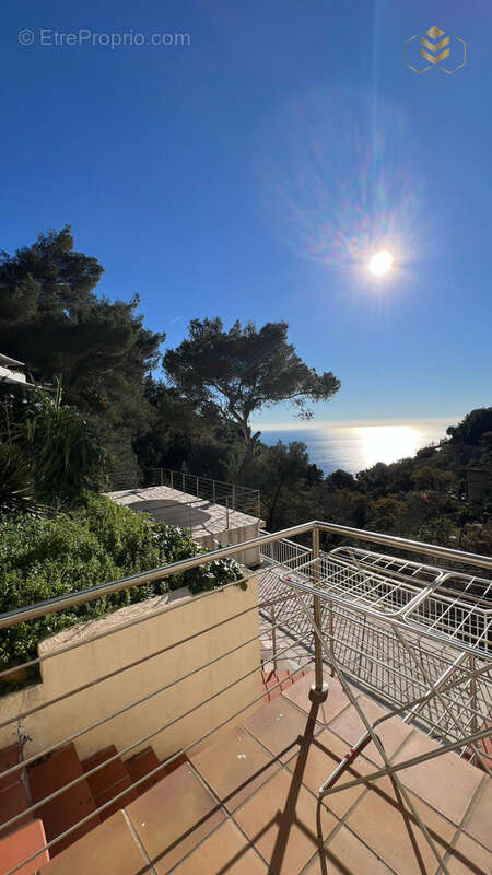 Une nouvelle vie aux portes de monaco - photo 12