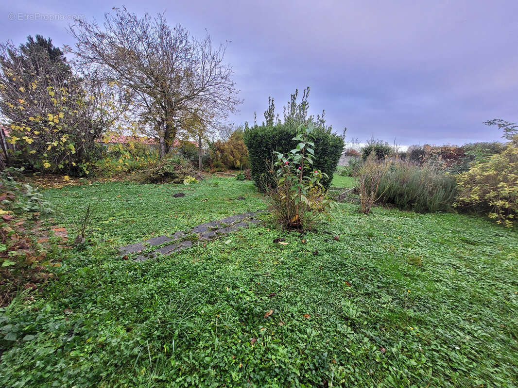 Maison à SAINS-EN-GOHELLE