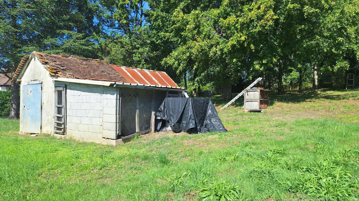 20250917_140810 - Terrain à SAINT-PARDOUX-LA-RIVIERE