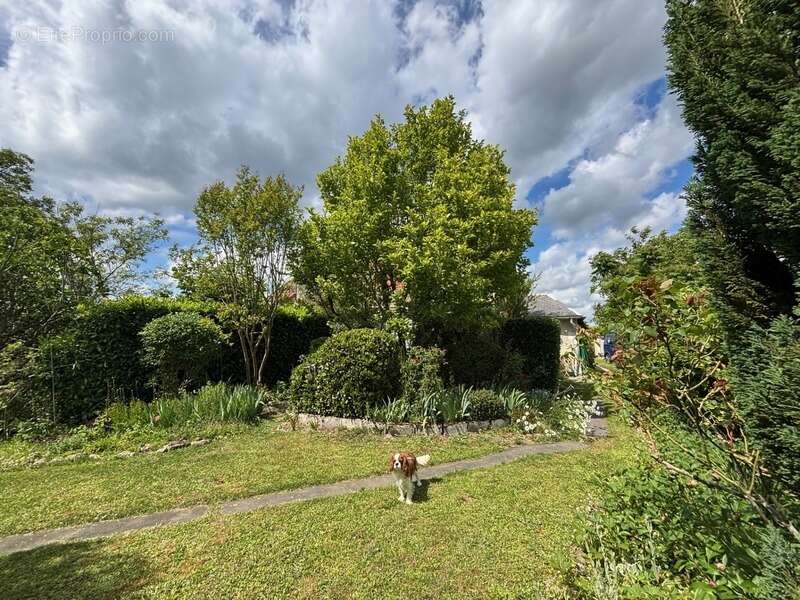 Dpt Cher (18), à vendre BEFFES maison P5 avec piscine - photo 15