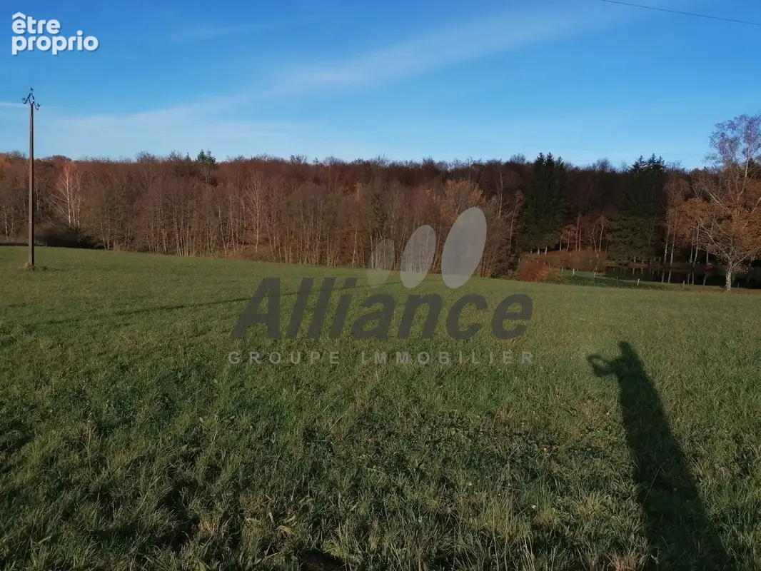 Terrain à LA BRUYERE