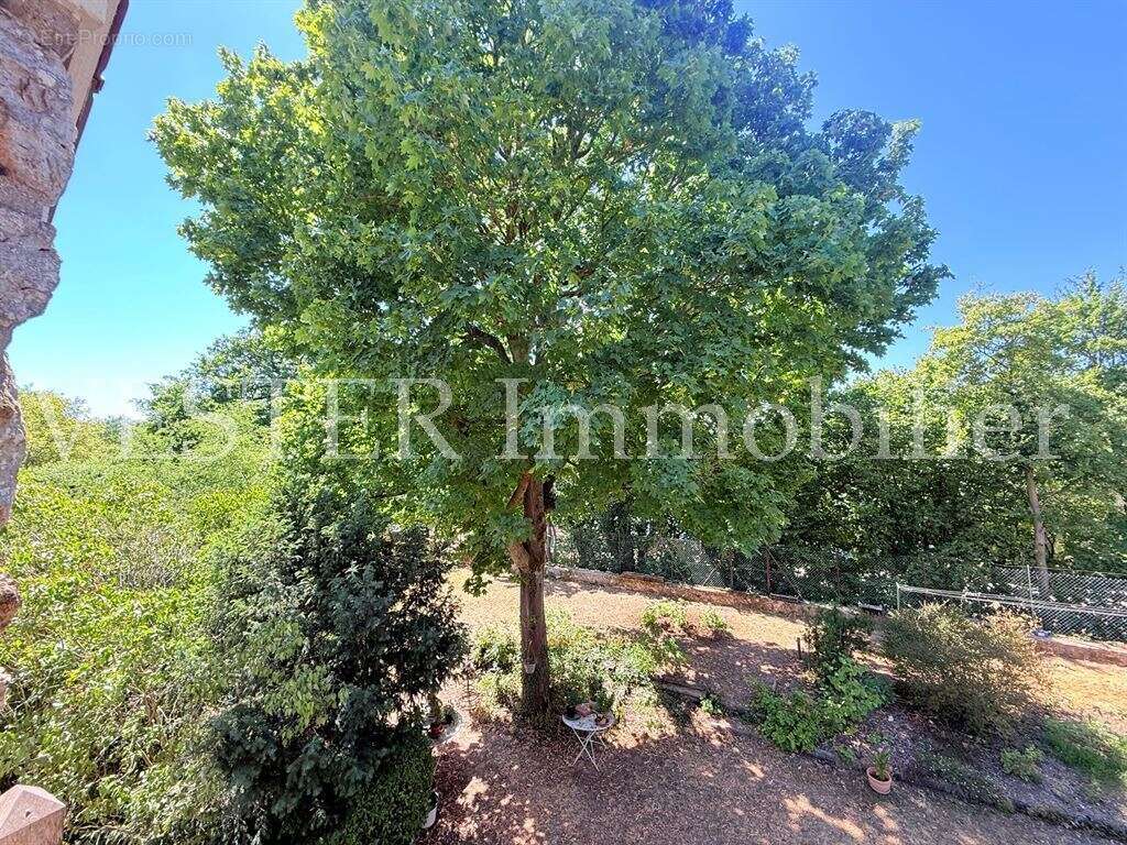 PARIS JARDINS - Belles Meulière sur un terrain de 1 500 m² - photo 16