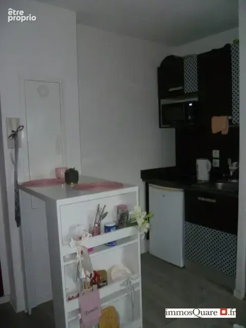 Appartement 1 pièce 17 m² à vendre à Grenoble (38100) - photo 5