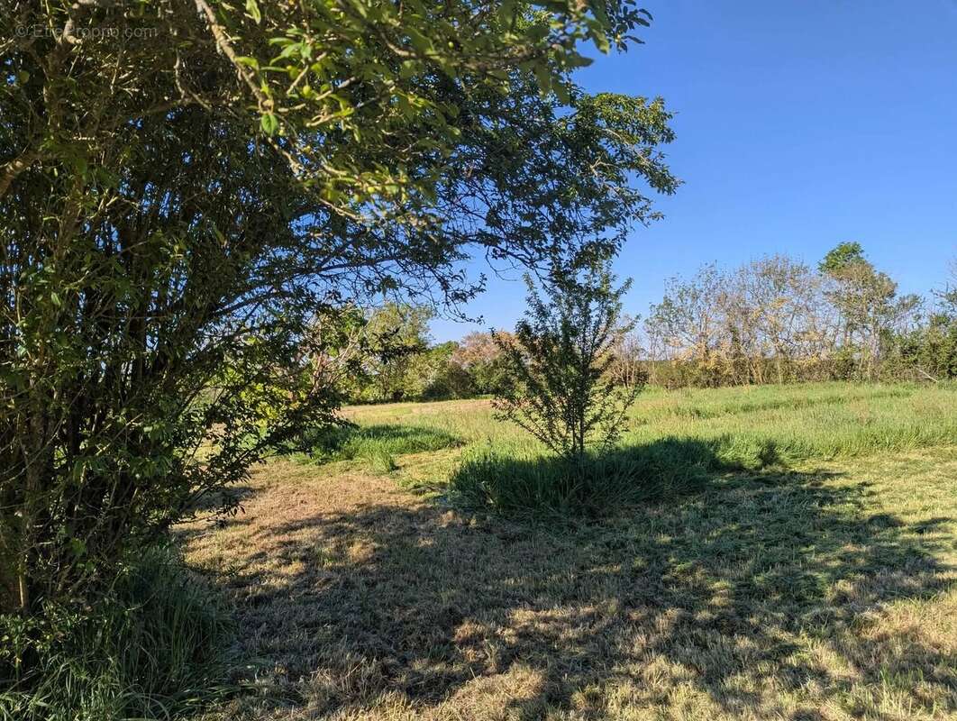 Maison à FONTENAY-LE-COMTE